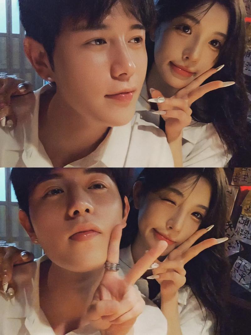 天天爽夜夜爽夜夜爽精品视频