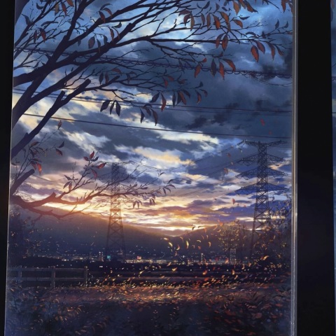 中国vpswindows野外高清资源