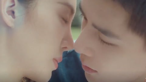 夏里番 夏里番规范的夏里番术语