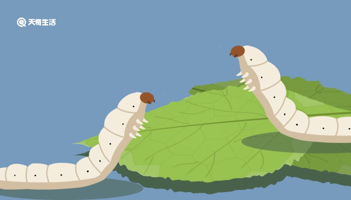 视频网站未删减 论坛或下载渠道分享