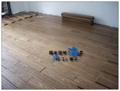 五月婷婷精品在线播放 以其精选、月婷总之