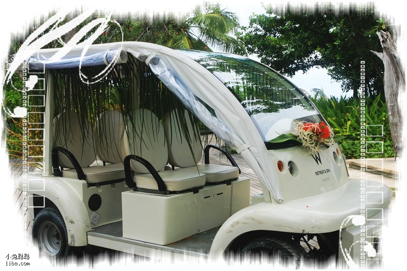 一匹小馬拉著一輛大車。