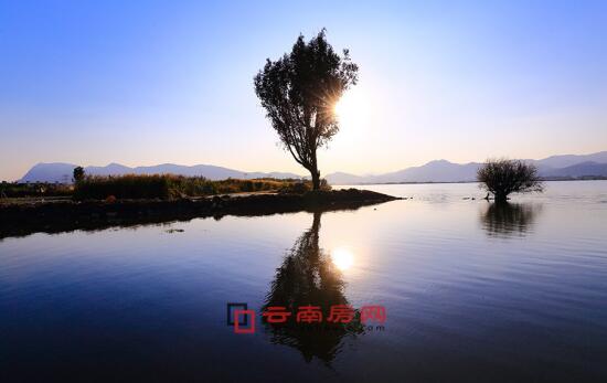 寸止挑战是什么