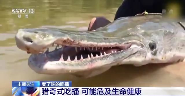 明星爆料网 建议后续优化内容深度建设