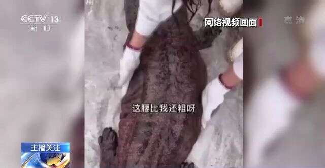 小 马 拉 大 车 +幼 女