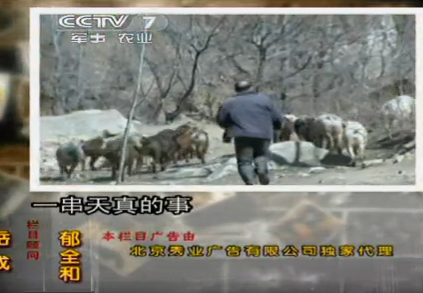 抖阴暗网网页版