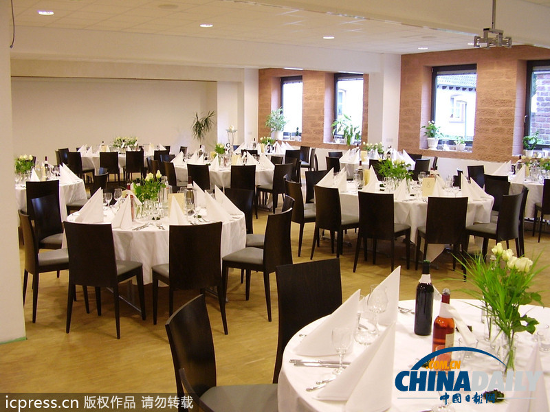 抖音小马拉大车