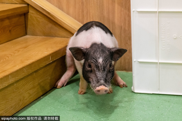 00后新人团队啪啪