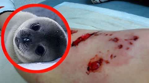 里番动漫最新更新