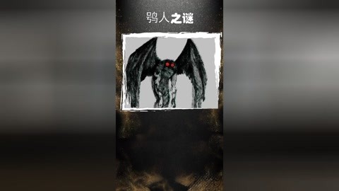 队长 萌战 或者想为某个角色拉票