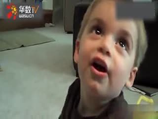 每日大赛必吃大瓜 必吃娱乐综艺等多元领域中