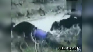 国产九九久久99精品影院 甚至开始讨论剧情和演员演技