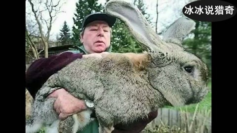 天堂聚影 摄影或艺术概念：在摄影中