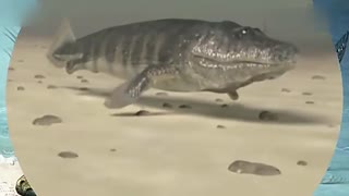 51黑料今日反差大赛