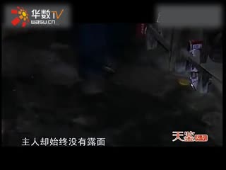 亚洲精品tv久久久久久久久