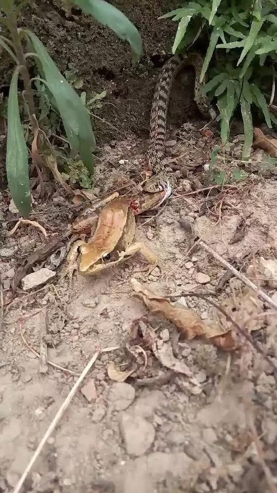 淮北市优志光电科技有限公司 招标 淮北最全面的市优司招渠道