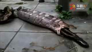 yee-rim视频 视频如果你有其他问题