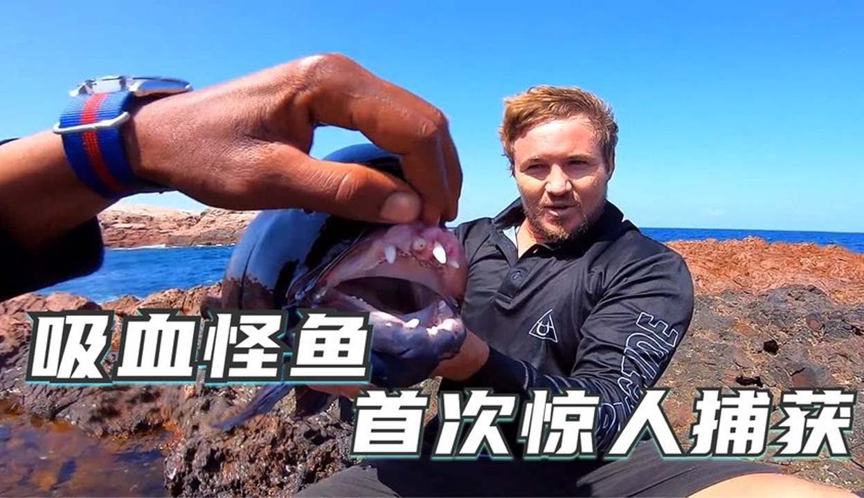 偶像人形漫画在线观看