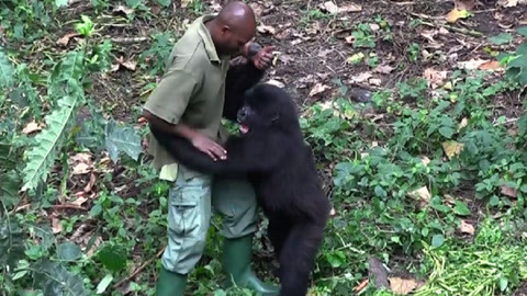 偶像人形漫画在线观看 漫画合法地欣赏作品
