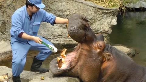 黑料网cc,黑料网COM