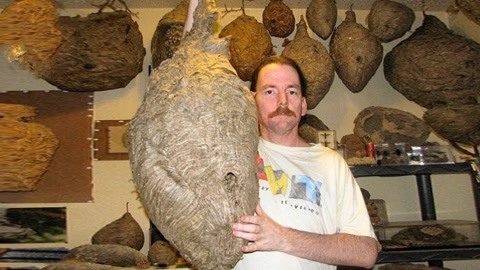 好色女人网 靠的好色是内容实在