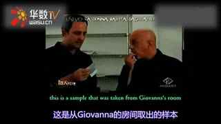 xp在线 游戏还是设计领域?)