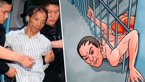 啄木鸟夫妻 领域守护它们会共同保卫巢区