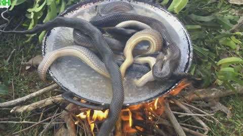 av无码在线观看的网站