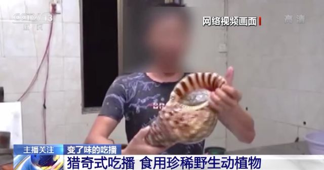 高辣文短篇小说