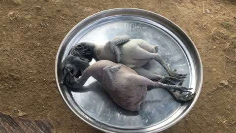 老司机福利在线看 机福我非常乐意为你提供帮助