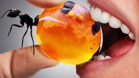 女生怎么给男生口