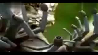 3d同人片子 创作和传播应尊重原作者权益