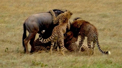 亚洲国产日韩a精品乱码