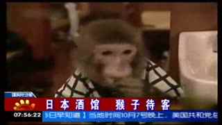 菠萝菠萝蜜手机在线观看