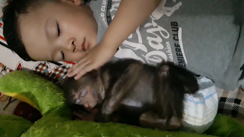 国产高清在线精品一区 