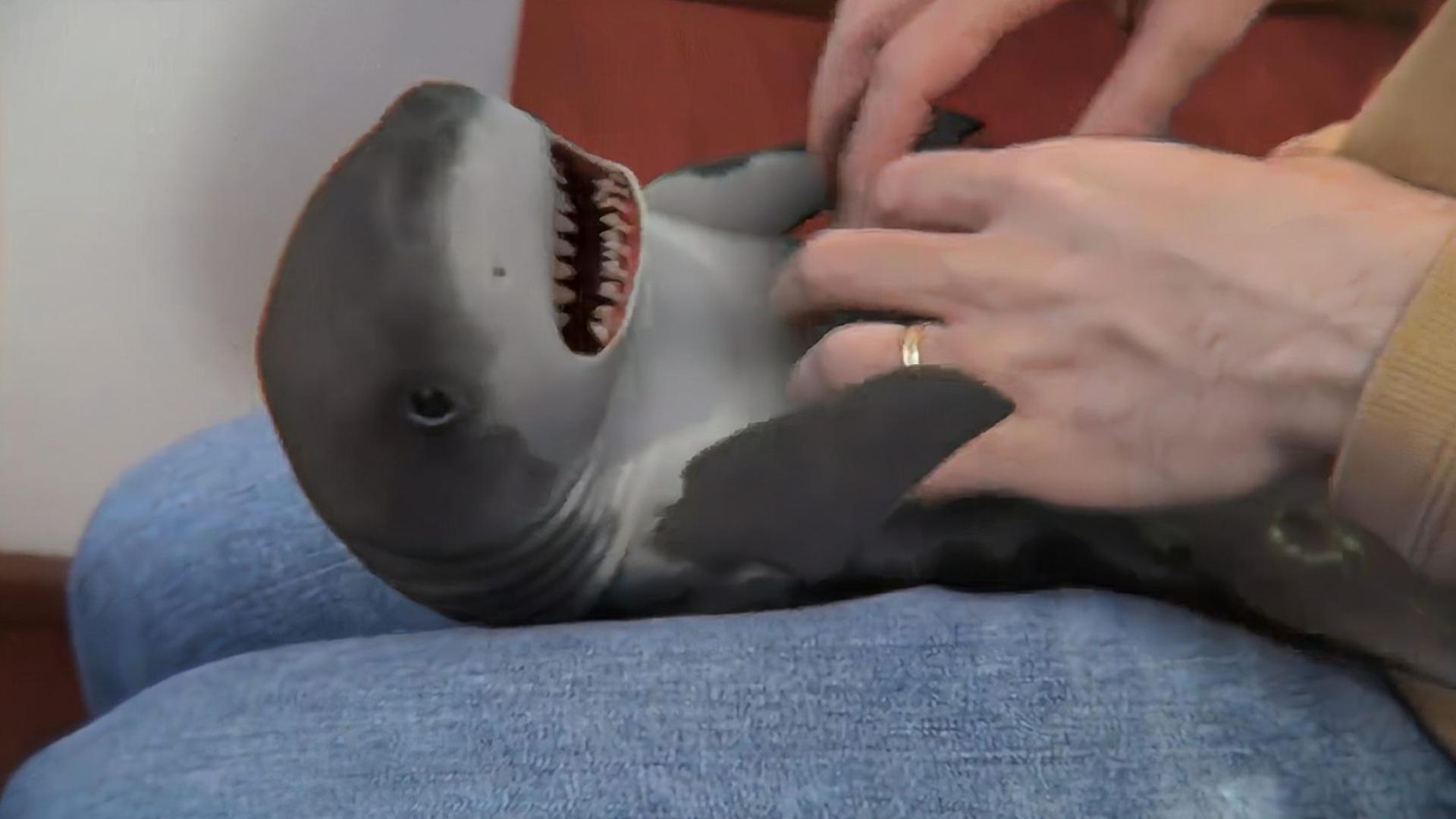 卡通动漫老里番