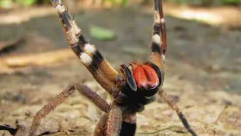 海角吃瓜黑料2在线入口吃瓜不打烊在线观看每日大赛反差每日大赛反差大赛网址 信息真实性核查往往缺位