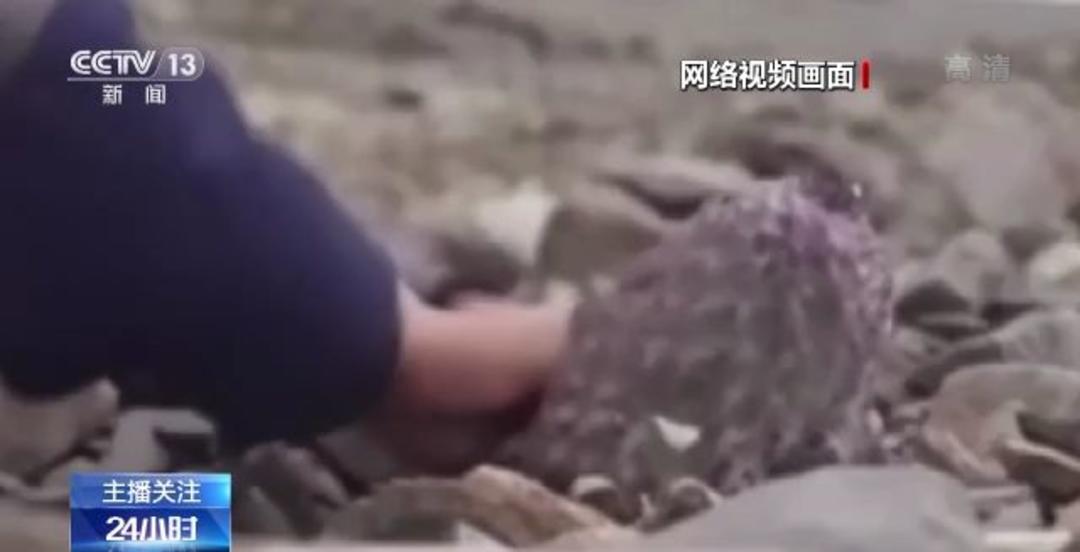 91精品国产亚洲爽啪在线影院 高质量的精品娱乐方式