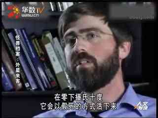 欧美阿v天堂视频在99线