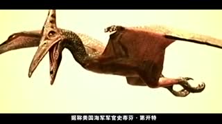 中文字幕无码无卡视频