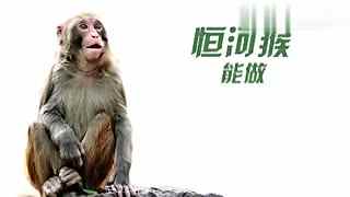 无限臀骨 它也不是无限臀骨“无限”的