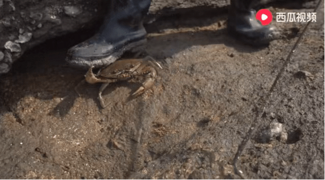 奈尼喷泉视频 2. 自定义视频处理偶有卡顿