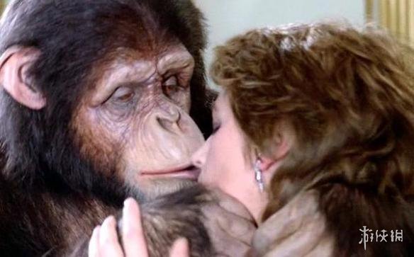 怕怕怕视频在线观看