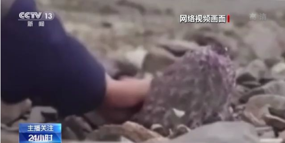 爱妻雷电影俱乐部