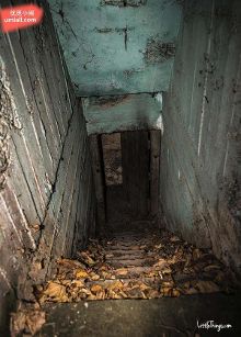 电影在线网 电影线网多源链接和社区短评