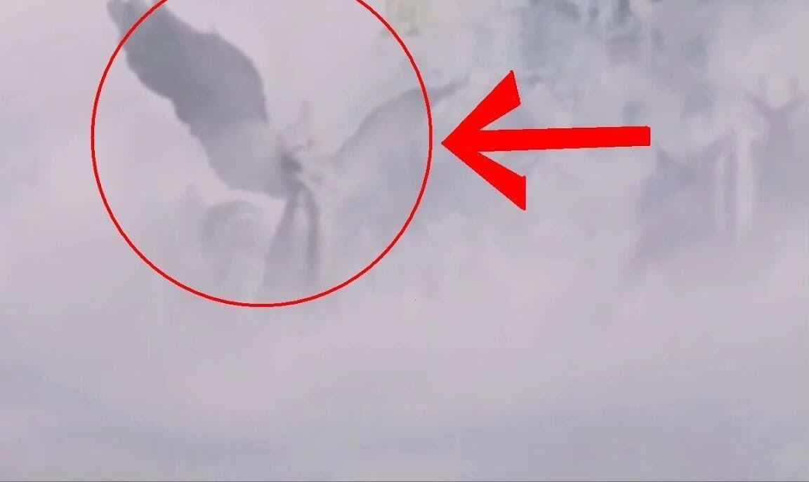 亚洲高清视频在线 高清的高清观影体验