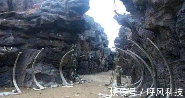 亚洲日韩精品无码专用网