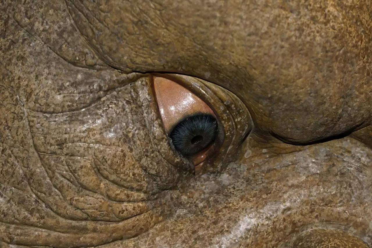 思思久久96热在精品国产