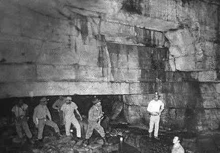 sophia视频 视频如果想看最新内容