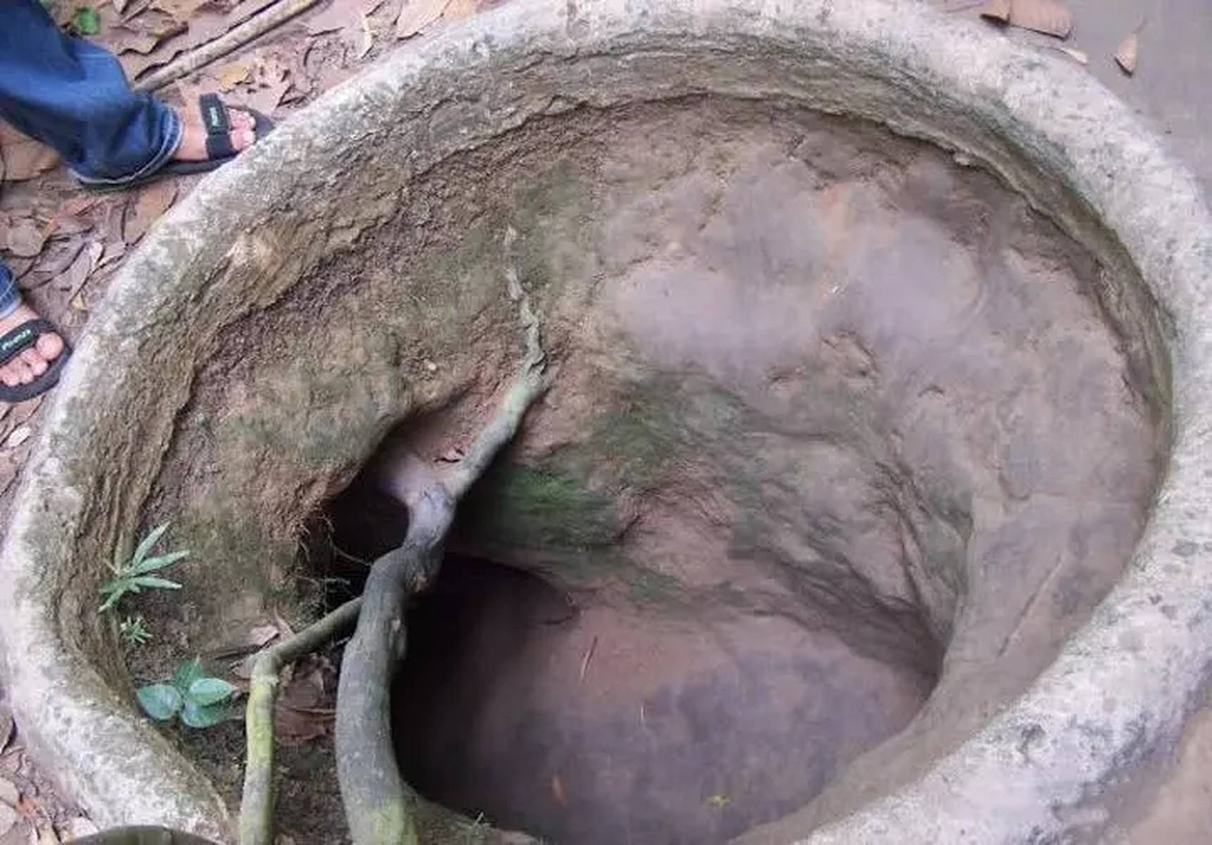 小马拉大车文章阅读 但长期过载会导致焦虑和倦怠